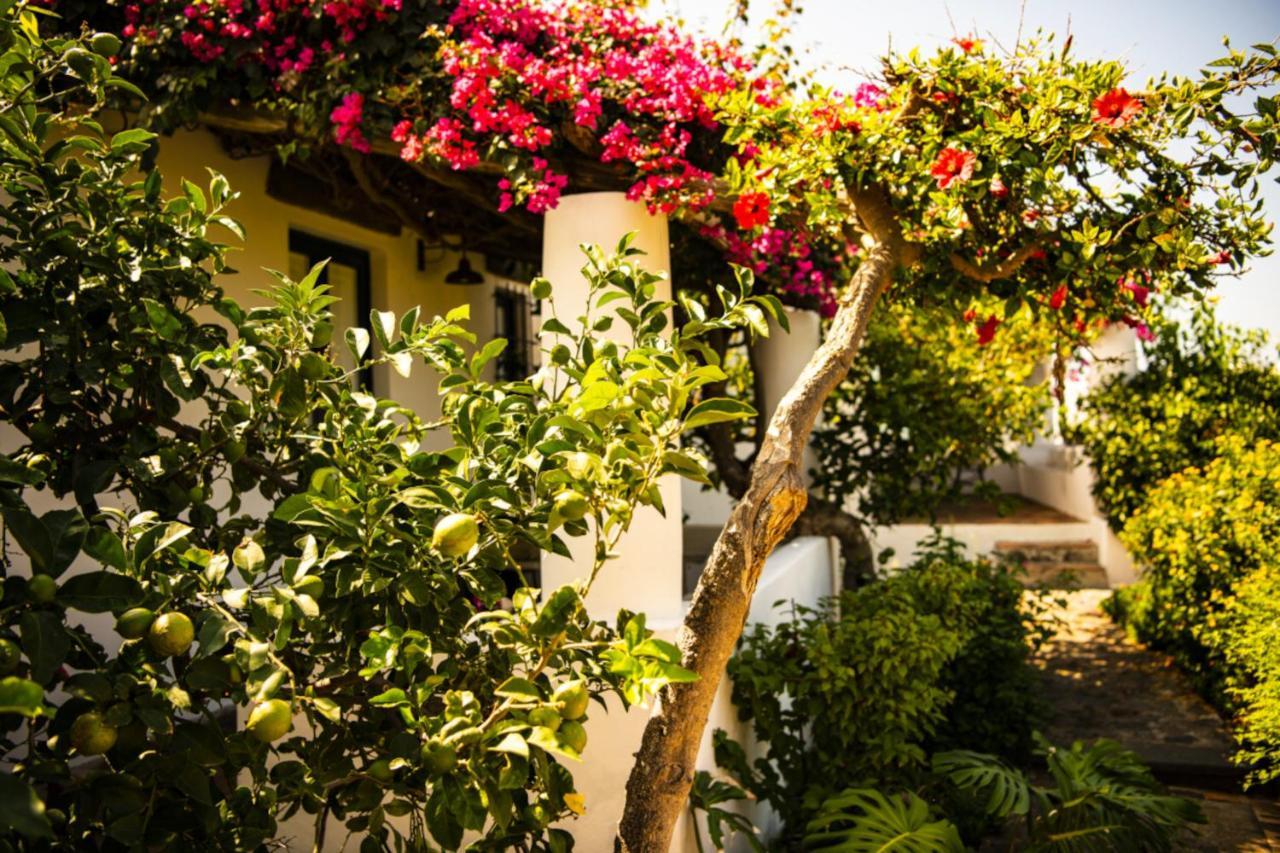 Hotel Signum Malfa  Εξωτερικό φωτογραφία